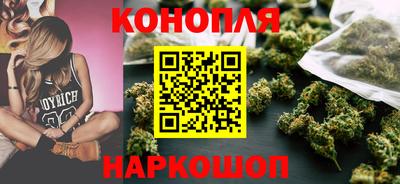 крисы Краснодар