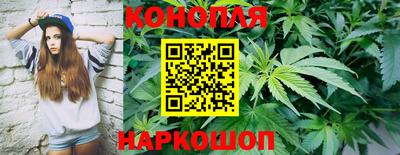 крисы Краснодар