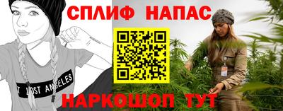 крисы Краснодар